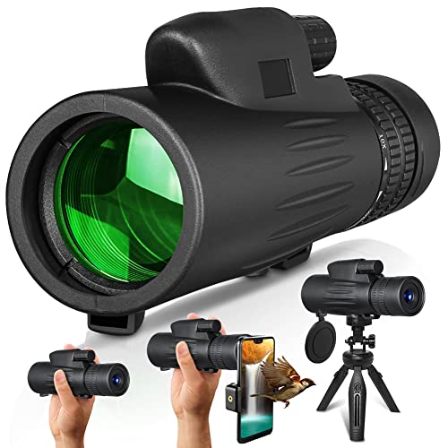 Monoculaire 10-30 x 42 HD pour voir de loin net sans trembler
