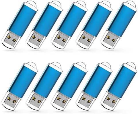 RAOYI 10 Pack 32GB USB Flash Drive USB 2.0 Memory Stick Bulk Thumb Drive Pen Drive Jump Drive-Blue