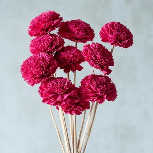 Image of Hot Pink Carnation Sola Flower Sticks (10 sticks) | Natural Dried Flower |Eco-Friendly Flowers for Home,Office,Bedroom,Table Decoration and Craft Items Corner (Without Vase Pot)