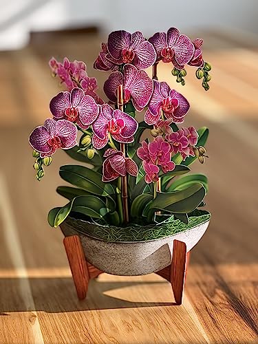 Freshcut Paper 3723 Pop Up Cards, Paper Flower Bouquet 3D Popup Greeting Cards thumb #7