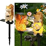 YZYOE Solar-Eichhörnchen Kiefernuss Licht, Garten Dekoration Harz niedliche Tier Bodenlampe, drahtlose Dämmerung zur Morgendämmerung LED-Lichter wasserdicht.