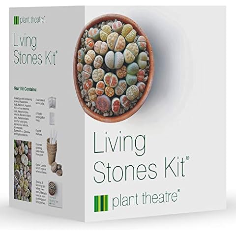 Plant Theatre Grow Your Own Living Stones Kit - Complete Lithops Seeds Growing Set with Pots, Markers, and Peat Discs - Gardening Gifts for Men & Women Cover