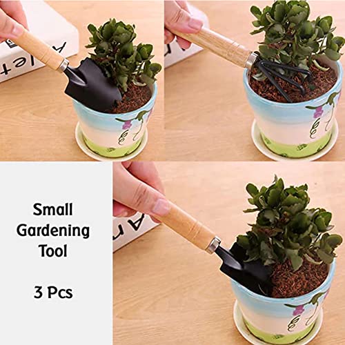 Suzec Gardening Combo Tools Kit - Handle Cultivator, Garden Fork, Gardening Trowel | Gardening Tools Set (3pc Garden Tool)