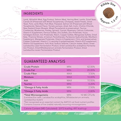 Image of Blackwood Bounty Dry Cat Food, Red Meat Recipe for All Life Stages, 2 Pound Bag, High Protein, Grain Free
