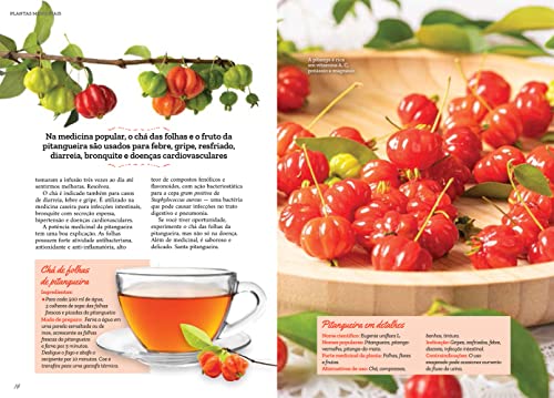 Plantas Medicinais Volume 7: Plantas e Receitas para PRIMEIROS SOCORROS