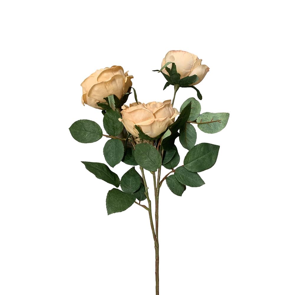 Floristrywarehouse Beige Eco Sustainably Produced Faux Silk Cabbage Rose Spray 70Cm/27 Inches Tall