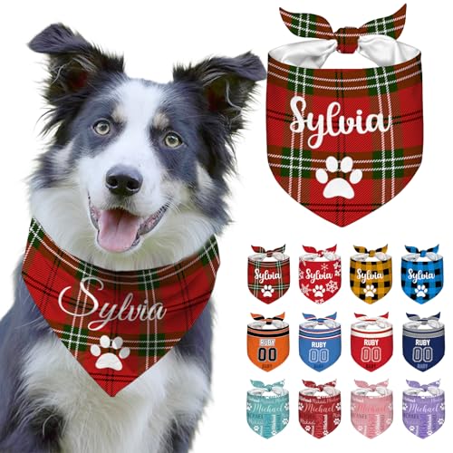 Personalized Dog Bandana with Name and Funny Design