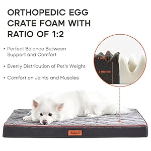 Medium Waterproof Orthopedic Egg Crate Foam Dog&Cat Beds Supportive Dog Bed Matt for Small Dogs Removable Washable Cover Oxford Fabric Bottom & Quilted Velvet Top, Suitable up to 50lbs