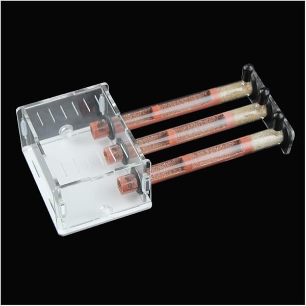 Nid Fourmis Maison Fourmis À 3 Tubes avec Zone d'alimentation Fourmilière Acryl Ant Farm Ferme À Fourmis Insectes Villa Pet Mania pour Fourmis Domestiques (Color : E) - 4