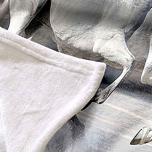 Couverture flanelle microfibre haut de gamme au toucher doux unique - 6
