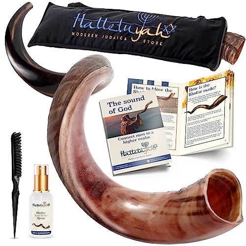 HalleluYAH Original Kosher Half-Polished Kudu Shofar From Israel