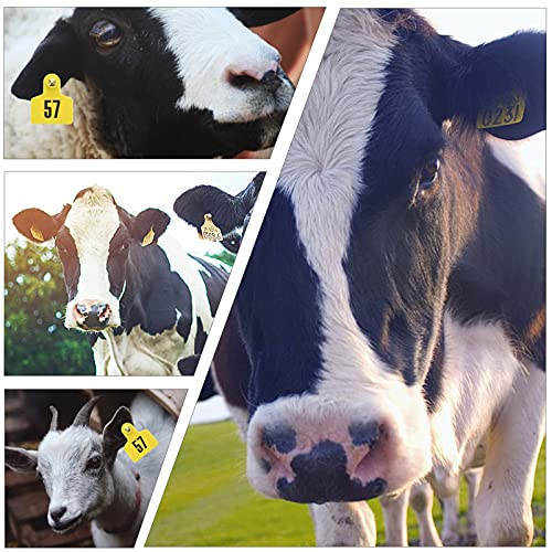 Generic 100PCS Cabra Gado Brincos Da Orelha Tags Numerados para Ovinos Vaca Gado Porco Cão Orelha Et