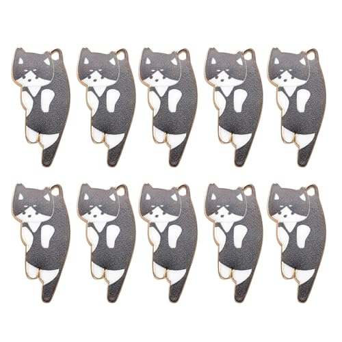 [AOUGO] 10 PCSwCOANZT[qLy_g6F̎uXbglbNX}eA擮qL̖