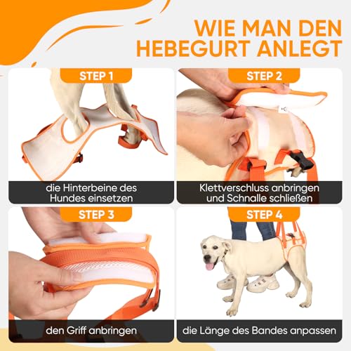 Tragehilfe Hund Groß, Hundegeschirr für Hinterbeine, Hundetrage für Hunde mit Verletzungen, nach Operationen oder Arthritis, Stabil & Atmungsaktiv, Einfach Anzulegen,Hunderollstuhl Alternative XL