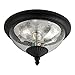 Sea Gull Lighting 88068-12 Lambert Hill Two-Light Outdoor Flush Mount Ceiling Light with Clear Seeded Glass Diffuser, Black Finish