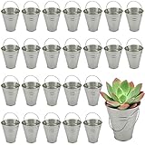 JEUIHAU 25 PCS 5x4.5 inch Galvanized Mini Buckets - Tin Pails for Parties, Ice, Snacks, Craft, Decorations, Garden Planters