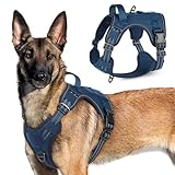 rabbitgoo Tactical Dog Harness for Large Dogs, No Pull Military Service Vest with Handle & Molle, Easy Control for Training Walking, Adjustable Reflective Straps, Blue, XL