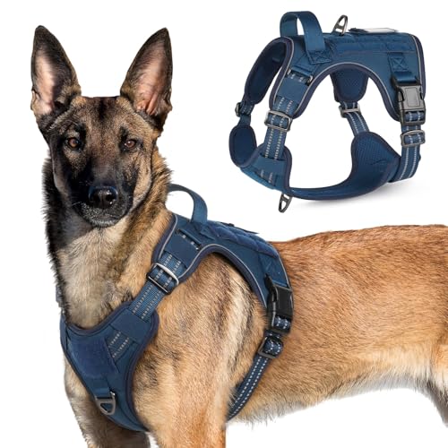 rabbitgoo Tactical Dog Harness for Large Dogs, No Pull Military Service Vest with Handle & Molle, Easy Control for Training Walking, Adjustable Reflective Straps, Blue, XL
