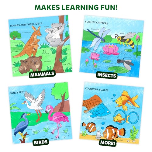 Image of Skillmatics Colour & Learn Activity Book - Learn 160+ Animals, 12 Retractable Mess-Free Crayons & 50 Pages, Educational, Gift for Toddlers and Preschoolers Ages 3, 4, 5, 6
