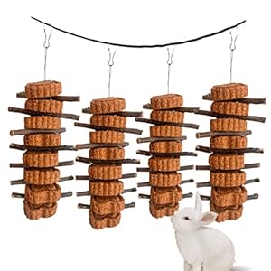 MUYG Bunny Carrot Cake Chew Toys,Ra...