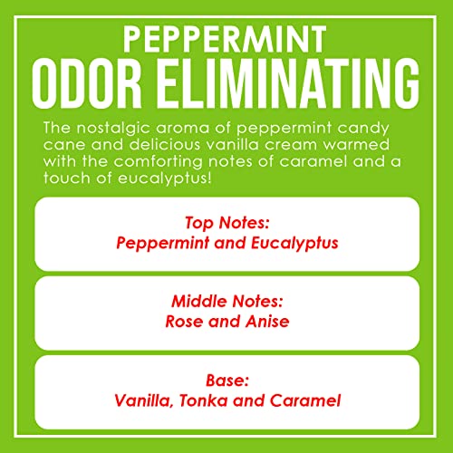 Dianne'S Custom Candles Peppermint Odor Eliminating Highly Fragranced Candle thumb #3