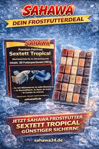 Fischfutter Frostfutter Tropical Sextett – 5×100g Blister mit je 30 Portionen (150 Futterportionen) – Abwechslungsreiches Mischfutter für Aquarienfische