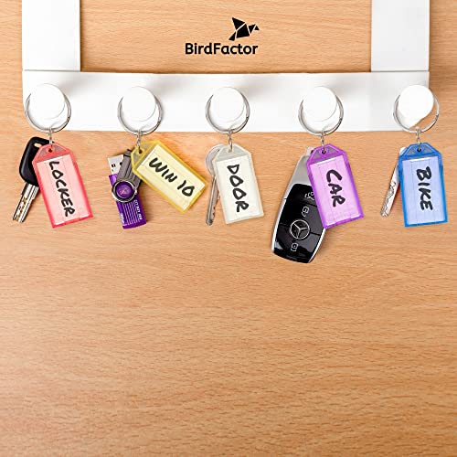 25 Stück Schlüsselanhänger beschriftbar mit Etiketten – 5 Farben, Kunststoffbox mit extra Etiketten, Schlüssel Anhänger und Schlüsselschilder mit Ring auch für Haustiere, Gepäckstücke oder USB Sticks
