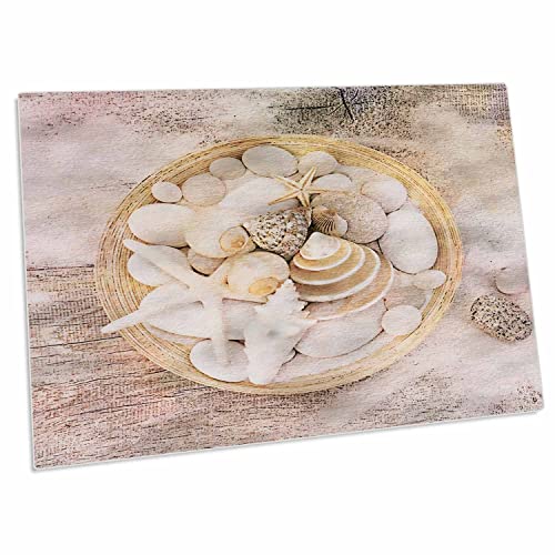 3dRose Pad para Escritorio con Ilustración de Conchas Marinas