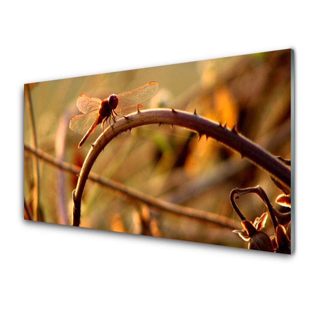 Décoration murale nature en verre trempé 100x50 cm avec libellule pour habiller le mur du salon