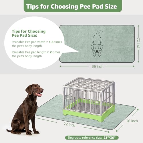 Image of LOOBANI Reusable Pee Pads for Dogs, Hallway Runner, Floor,36 inchx72 inch,2 Pack