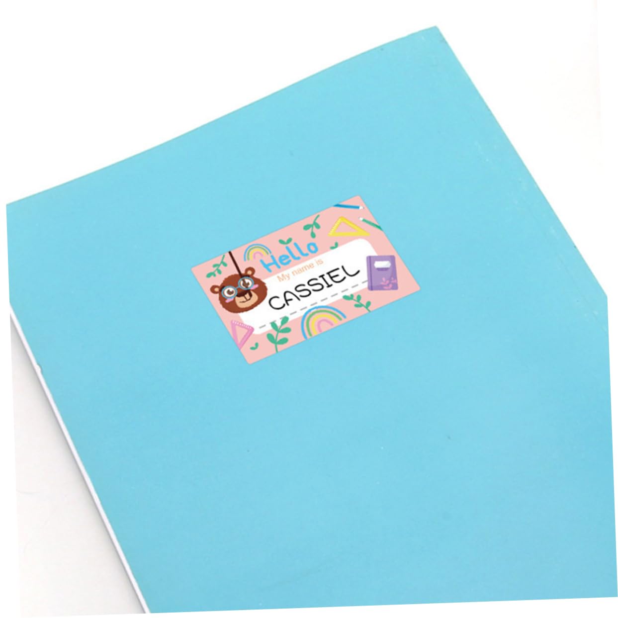 Operitacx 5 Rouleaux autocollants de nom d’animal étiquette autocollantes etiquettes autocollantes name stickers autocollant porte-nom étiquettes pour garderie étiquettes de nom