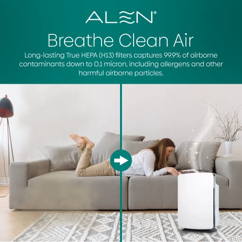 Image of Alen (BF35) HEPA-Pure Replacement Filter for BreatheSmart Air Purifier, 1-Pack