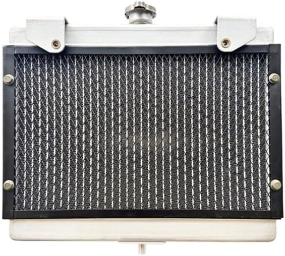 Radiator Tank FIT for CF500 X5 520 550 CF625 X6 600 625 Quad GOES500 500cc 9010-180100-1000