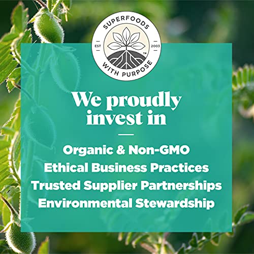 Navitas Organics Chickpea Flour, 10Oz — Organic, Non-Gmo, 100% Chickpea Flour, Grain-Free & Gluten-Free — 19 Servings #TOP5