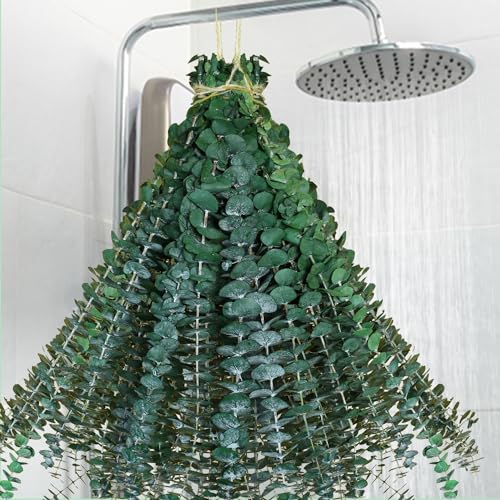 40 Pcs Dried Preserved Eucalyptus Shower Bundle,17" Natural Fresh Hanging Eucalyptus Leaves Stems Real Plant , Vase Filler Home, Wedding Decor