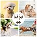 3 Stück Glocken,Laute Katzen Dog Glocke,Haustier Bells,Glöckchen,Kleine Glocke Halsband Anhänger,Hundeglocke Jagd,Hundeglocken Tracker Anti Verlust,Haustiere Laut Schellen,Basteln Katzenglocke