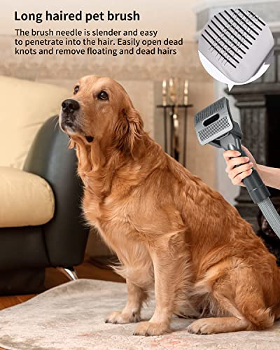 Groom Hundebürste für Dyson Staubsauger Adapter für Dyson V15 V12 V11 V10 V8 V7,Hund Tierhaarbürste Aufsatz mit 1 Verlängerungs Schlauch,1 Adapter,2 Organizer auslösen,2 Bürsten