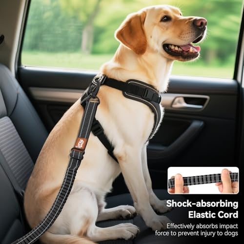 Tivray Anschnallgurt Hund Auto, Bungee Hund Auto Sicherheitsgurt, Auto Sicherheitsleine mit Schnalle und Clip Haken, Einstellbar Reflex Geschirr Tether, 360° Swivel Karabiner, Schwarz
