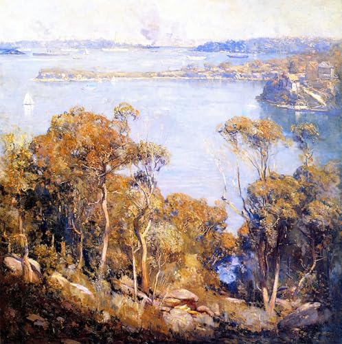 Tableau abstrait du Port de Sydney 60x90cm pour créer une ambiance épurée au salon