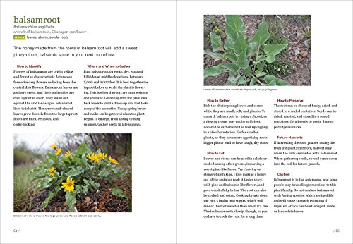 Mountain States Foraging: 115 Wild And Flavorful Edibles From Alpine Sorrel To Wild Hops (Regional Foraging Series) #TOP4