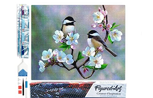 La Mejor Lista de Lienzos enrollados - los más vendidos. 45 Figured'Art Diamond Painting Kit completo - Cuadro 40x50cm de Pintura de Diamante - Lienzo enrollado con diamantes cuadrados - Pequeños pájaros y flores blancas - 5D DIY...