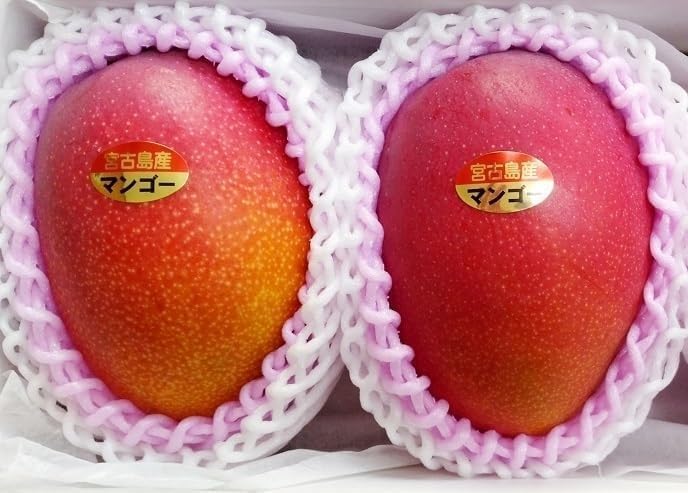 Amazon.co.jp: 博愛農園 宮古島産マンゴー 秀品 2〜4玉入り 合計 1kg
