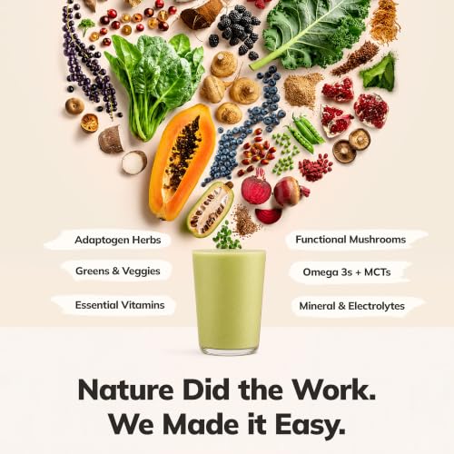 Image of Ka'Chava Whole Body Meal Shake Matcha 2 lb - Vegan Protein Powder with 85+ Superfoods & Greens - Plant-Based Meal Replacement with Probiotics & Digestive Enzymes - Gluten & Dairy Free (15 Servings)