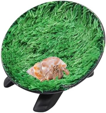 Hermit Crab Climbing Toys, Hamster Wheel, Reptile Tank Accessories, Hermit Crab Supplies, Running Wheel Toys