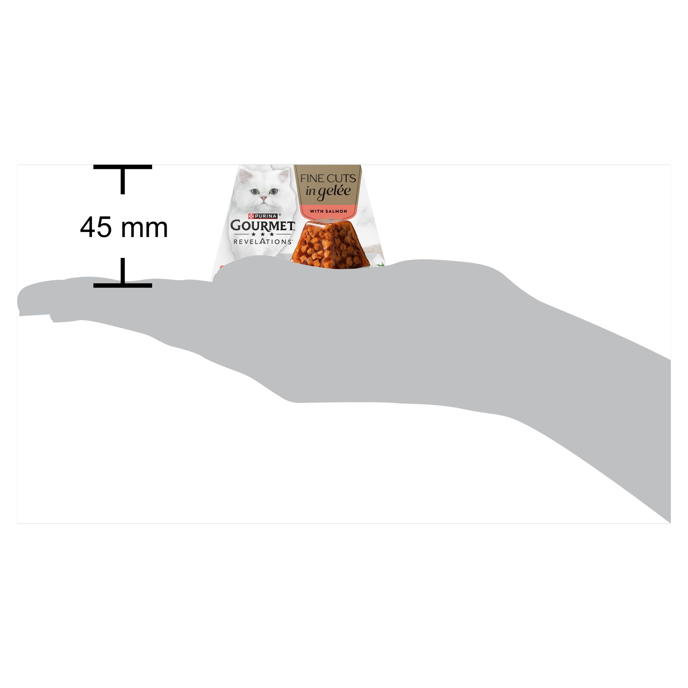 View 6