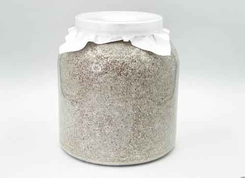 MlX7 pIIq^114.1mmyDDAzF-ZERO ێ dda NK^ ێr ێr c GT (3200{g)