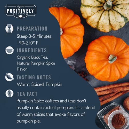 Image of Organic Positively Tea Company, Pumpkin Spice Black Tea Bags, 20 Count