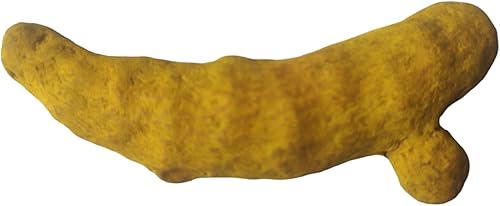 Miniatura 6 de BHAVICREATION Cúrcuma entera Haldi Ki Ganth para Puja Cúrcuma entera para Pooja 10 piezas Saubt Haldi Tumeric Dedos Tuméricos Enteros Haldi Gatiya