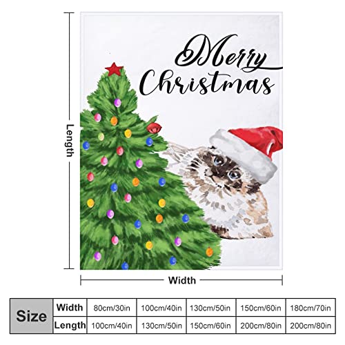 Couverture de Noël lit plaid peluche impression 3D douce 130x150
