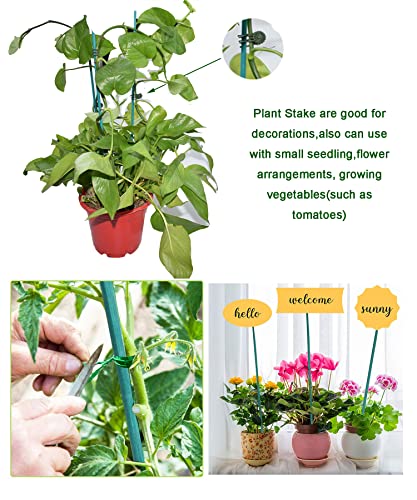 Yeeyeah 30 Pieces 45Cm Green Bamboo Plant Stakes 50 Pieces Orchid Clips Plastic Garden Plant Clips With 30 Pieces Twist Flexible Garden Plant Ties For Supporting Stems Vines Stalks Grow Upright #TOP5